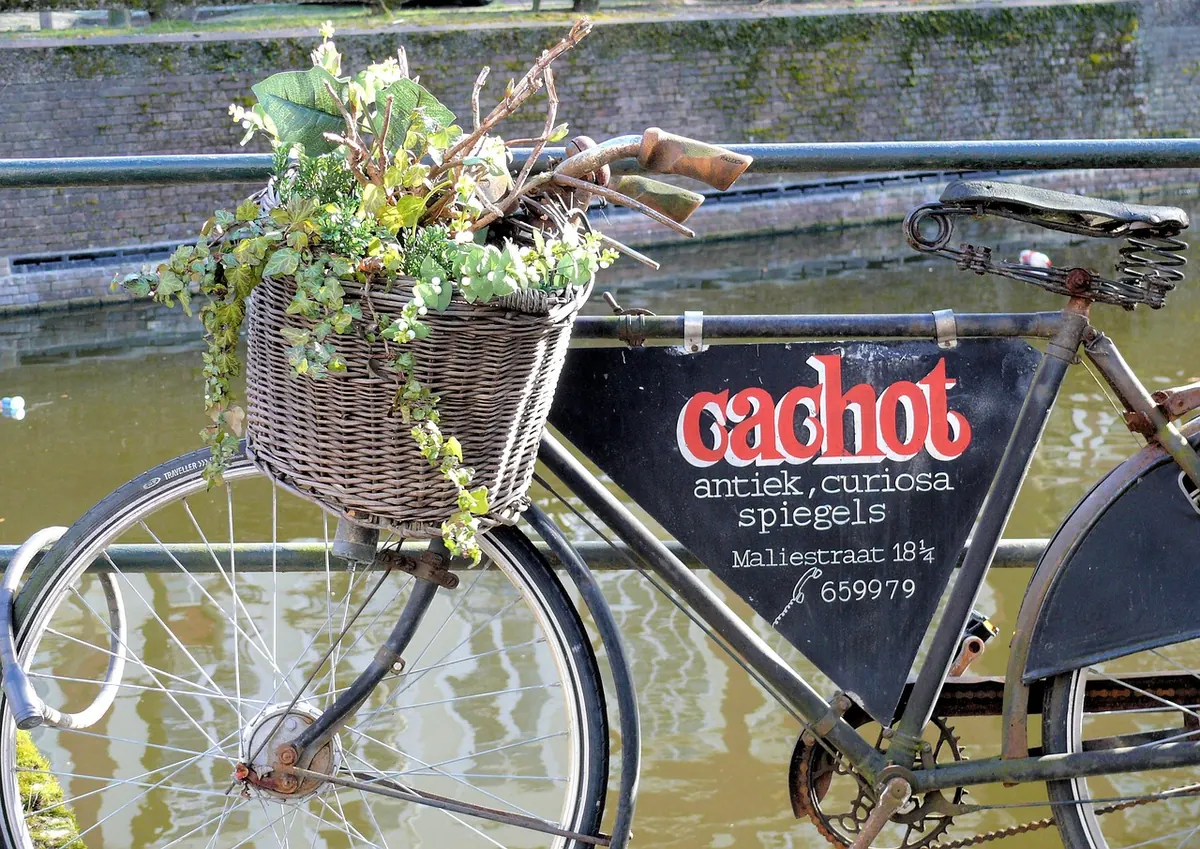 Victorian Curiosities Explained: 10 Odd Objects You Might Find in a UK Antique Shop
